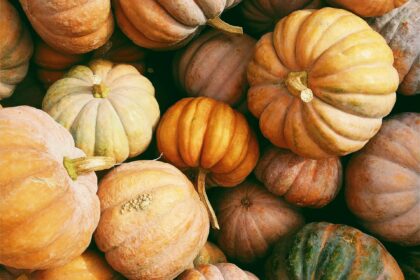 pumpkin, pumpkin health benefits, pumpkin nutrition, pumpkin recipes, seasonal vegetables, autumn superfood, healthy eating, fitness food, muscle recovery food, Coach at Home Luxembourg