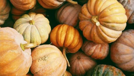 pumpkin, pumpkin health benefits, pumpkin nutrition, pumpkin recipes, seasonal vegetables, autumn superfood, healthy eating, fitness food, muscle recovery food, Coach at Home Luxembourg